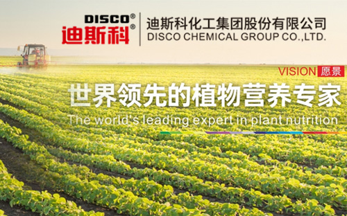迪斯科化工集團股份有限公司