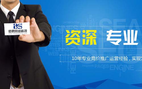 武漢佰昇網絡科技